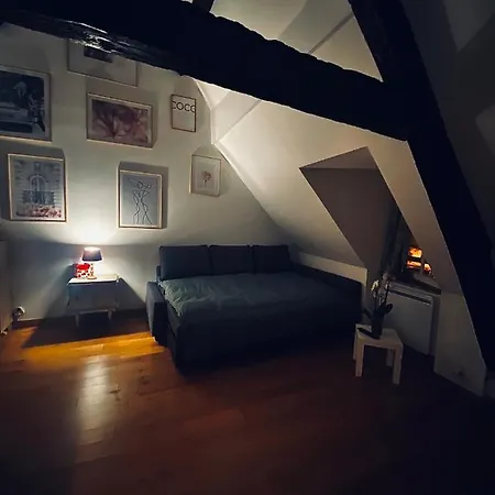 Apartamento Au Nid Douillet *